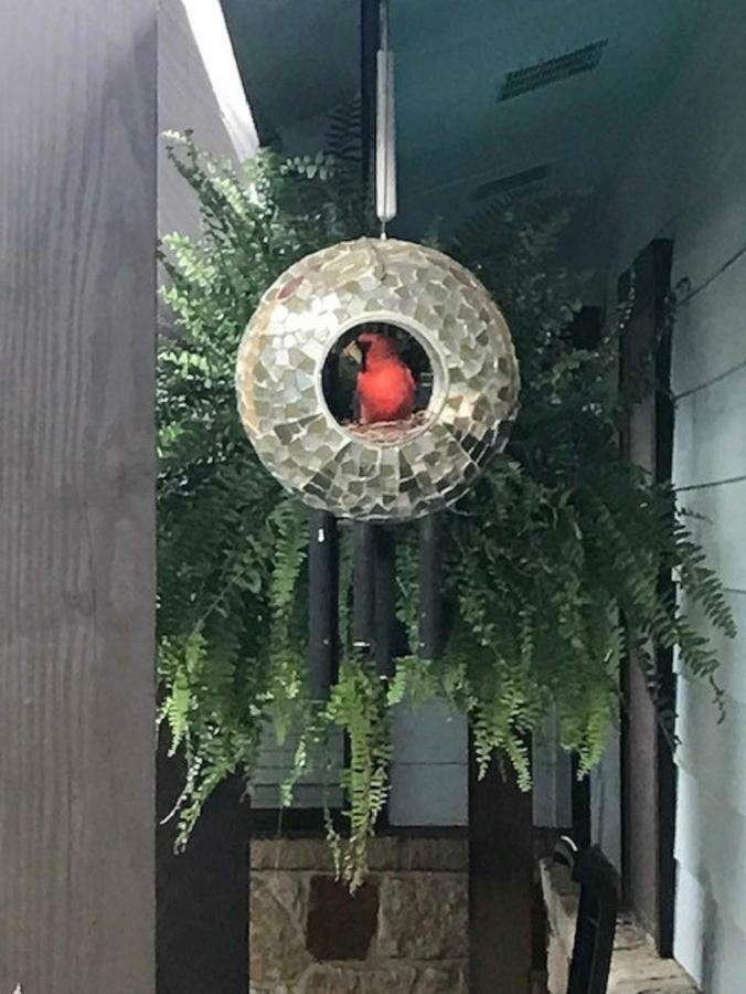 Square Inn ウィンバリー エクステリア 写真