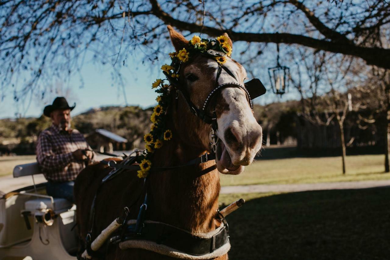 Square Inn ウィンバリー エクステリア 写真
